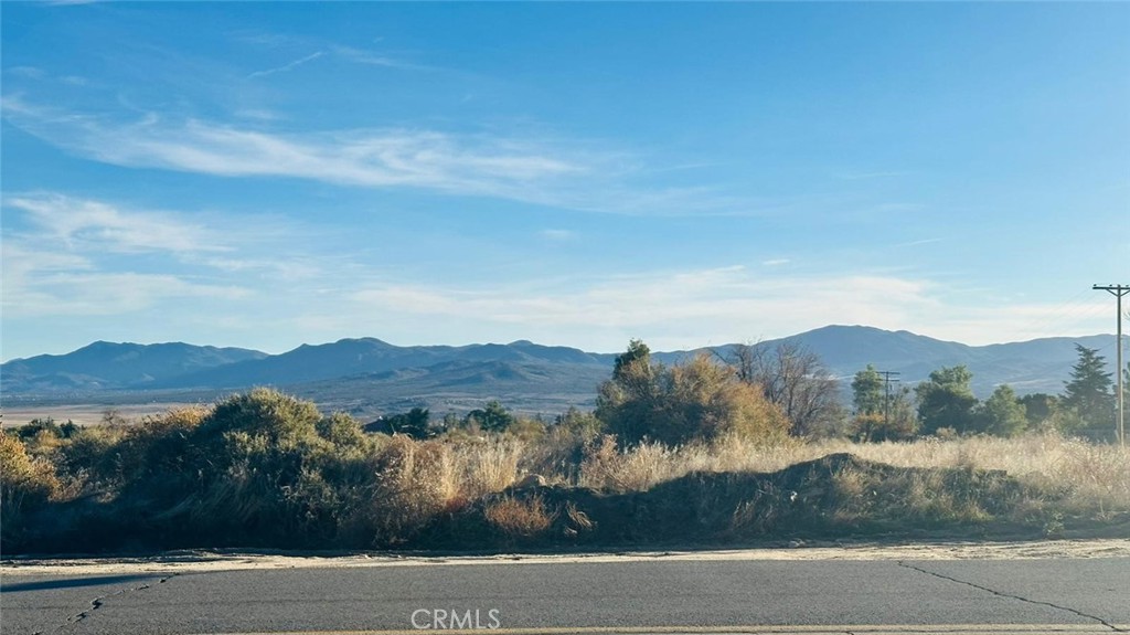 0 Mitchell Rd, Anza, CA 92539 — photo 1
