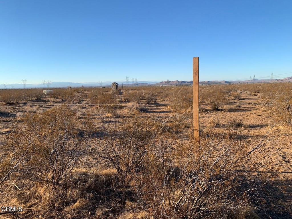 170 Th St Avenue, Palmdale, CA 93591 — photo 1