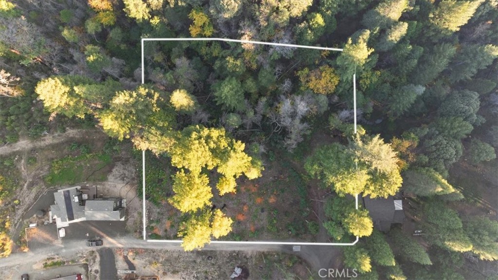 0 Path in the Woods, Berry Creek, CA 95916 — photo 1