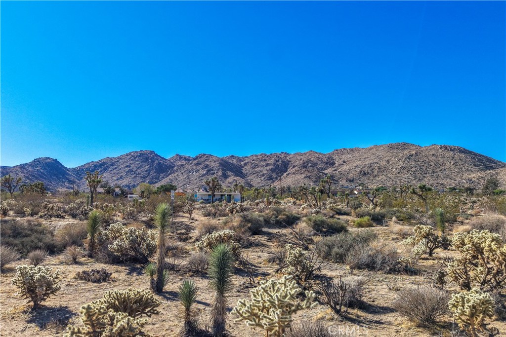 7505 Sherwood Road, Joshua Tree, CA 92252 — photo 1