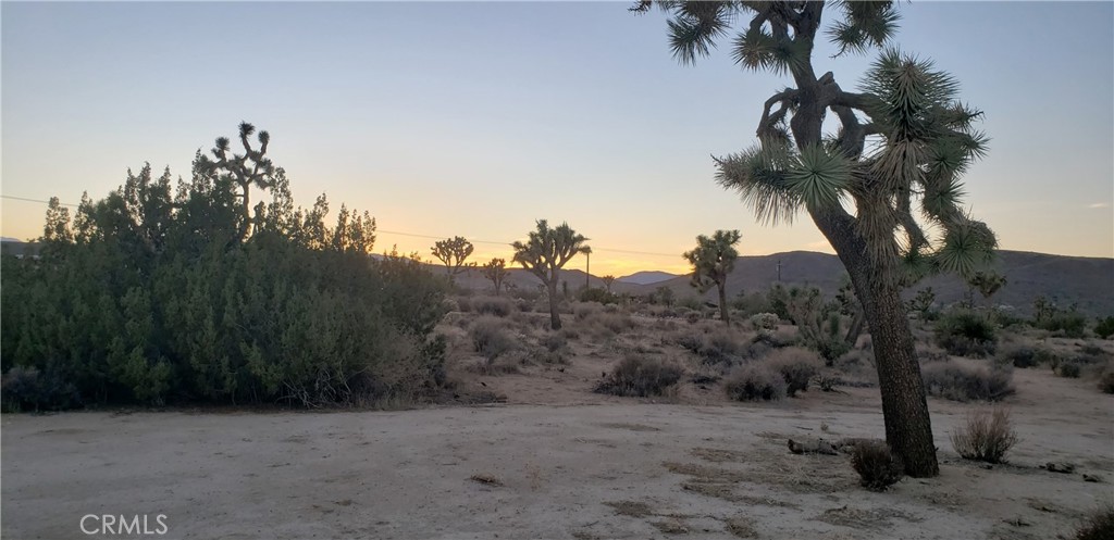 1234 Canton Street, Yucca Valley, CA 92284 — photo 1