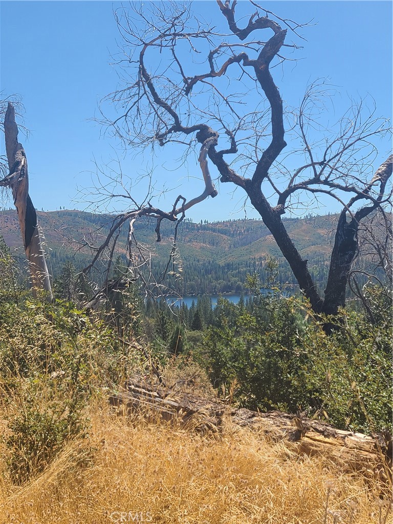 0 HOG RANCH ROAD, Concow, CA 95965 — photo 1