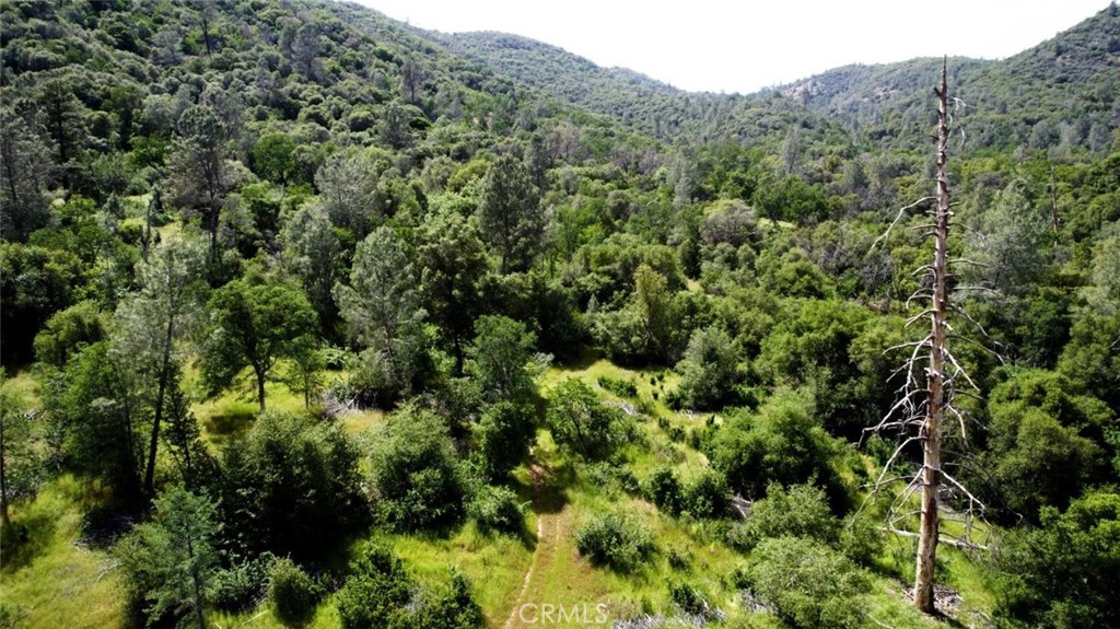 2 Road 200, Coarsegold, CA 93614 — photo 1