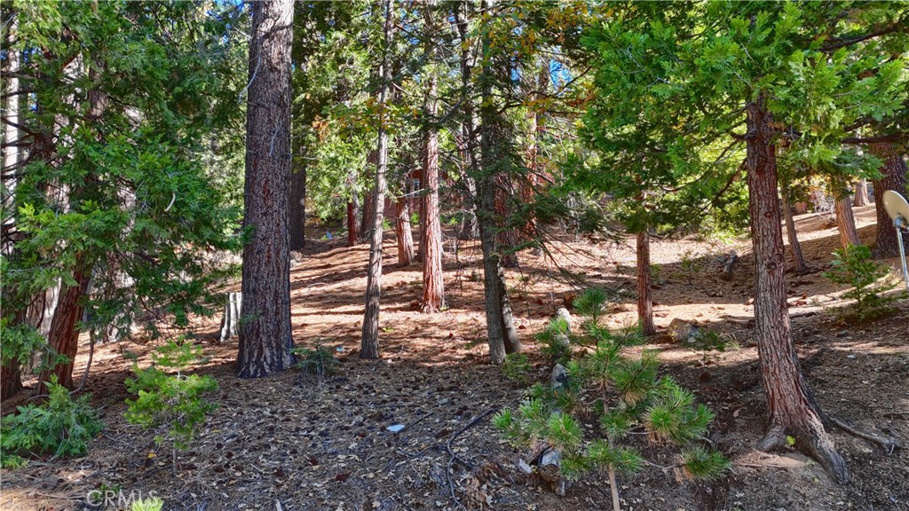 7232 Yosemite Park, Yosemite, CA 95389 — photo 1