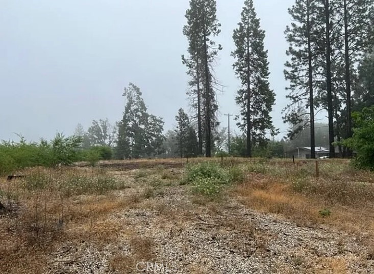 13620 S Park, Magalia, CA 95954 — photo 1