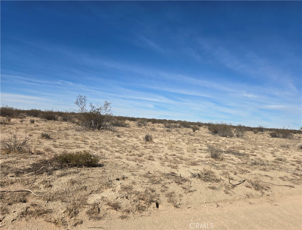 42924 250th, Lancaster, CA 93535 — photo 1