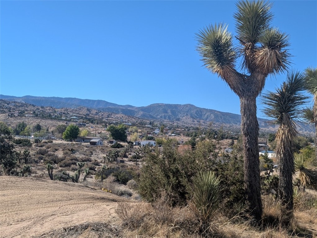 0 Malpaso Road, Phelan, CA 92371 — photo 1