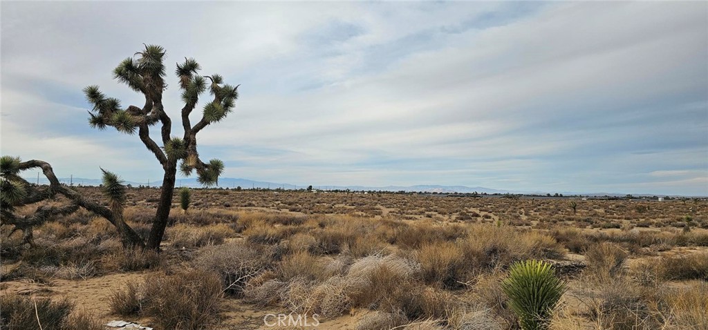 0 Avenue L4 / 23rd St E, Palmdale, CA 93550 — photo 1