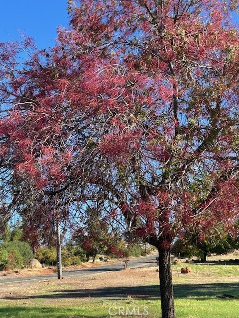3898 Neal, Paradise, CA 95969 — photo 1