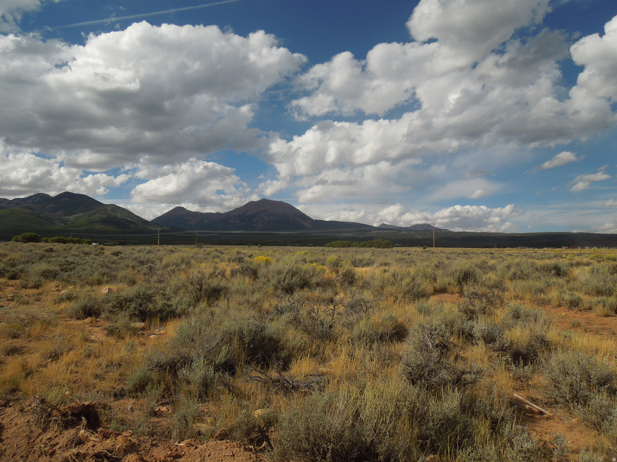 64  STONE RD, La Sal, UT 84530 — photo 1