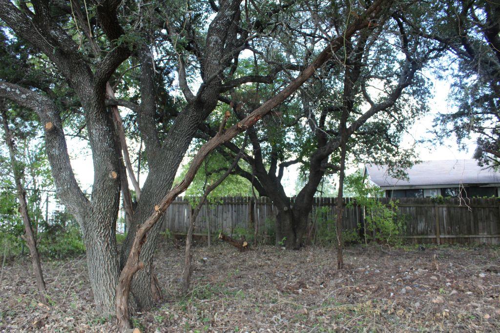 11502 Bee, Jonestown, TX 78645 — photo 1