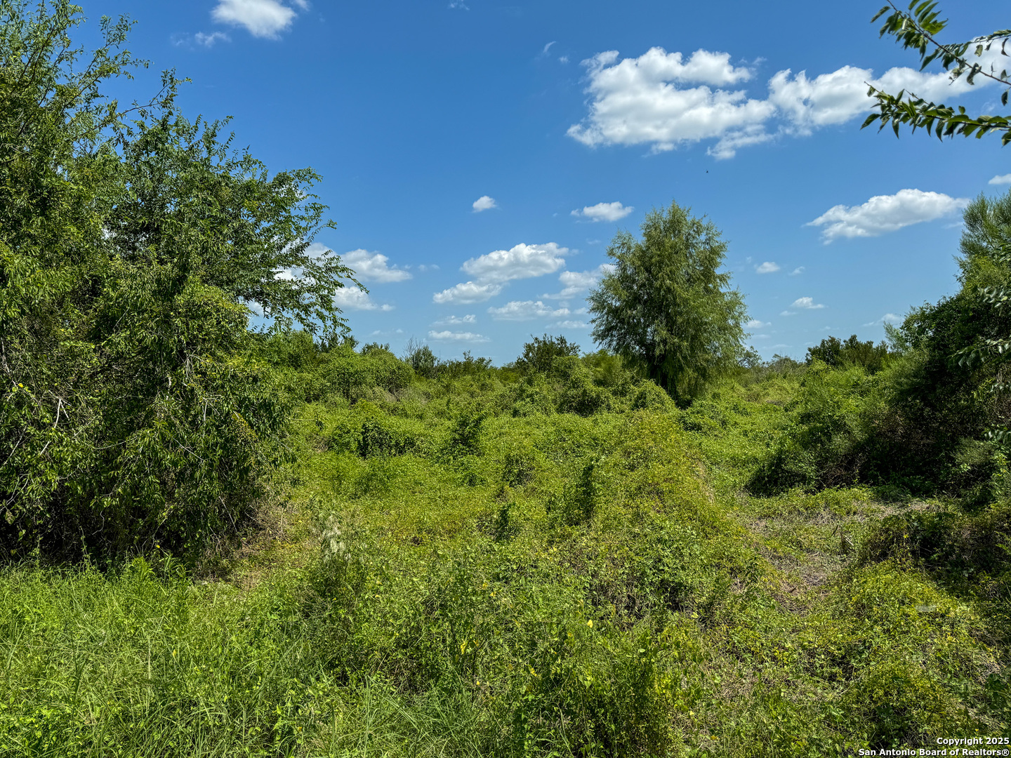 000 Deer Run Trace, , 78071 — photo 1