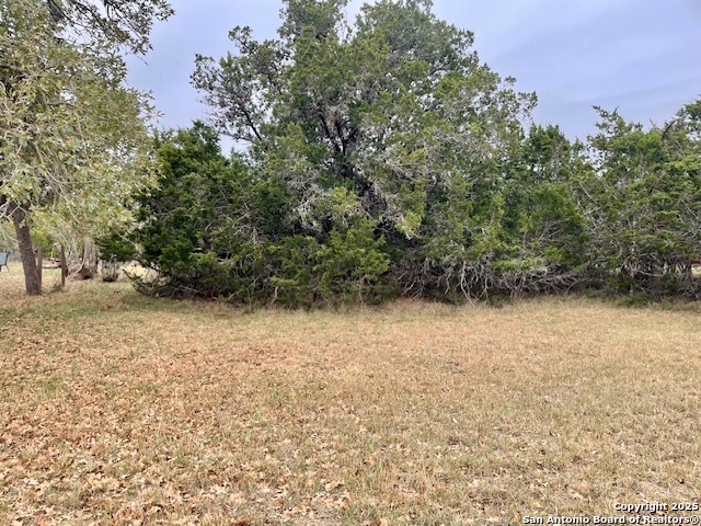 LOT 85 PR 1518, , 78003 — photo 1