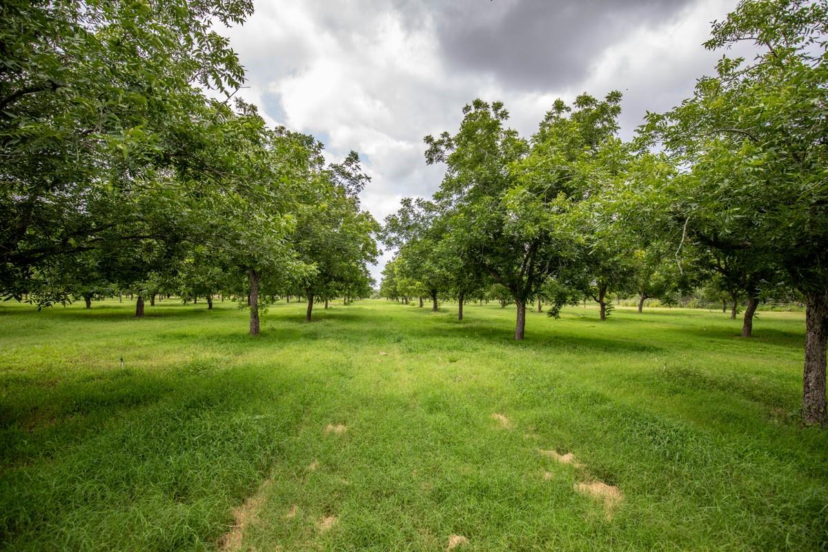 2432 County Road 402, Falfurrias, TX 78355 — photo 1