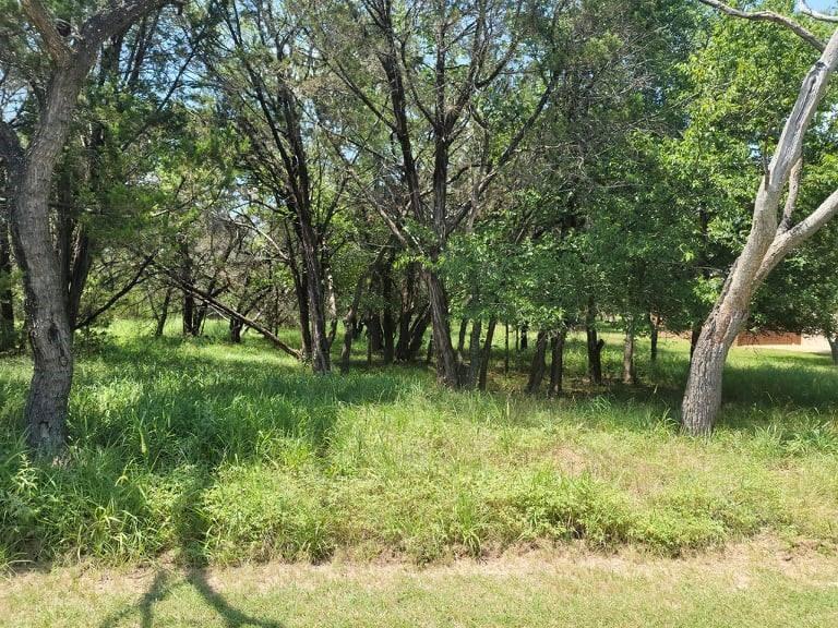 35060 Oak Forest