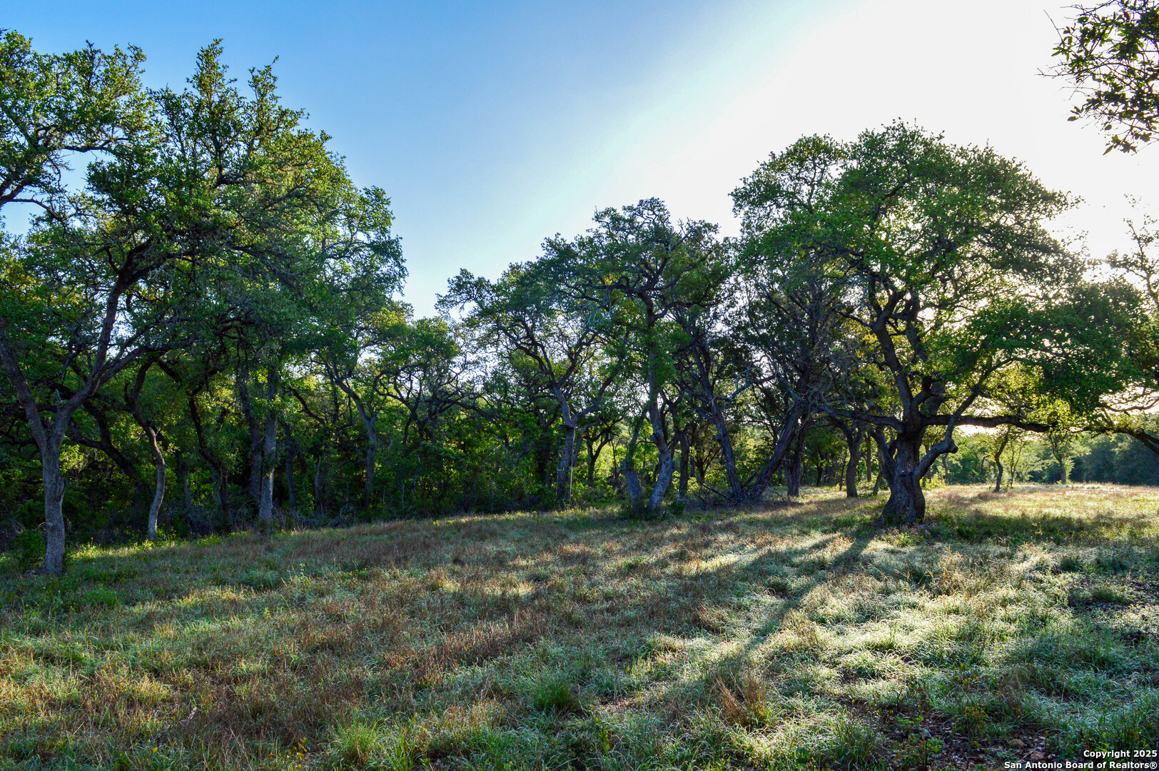 TBD Pr 233, , 78861 — photo 1