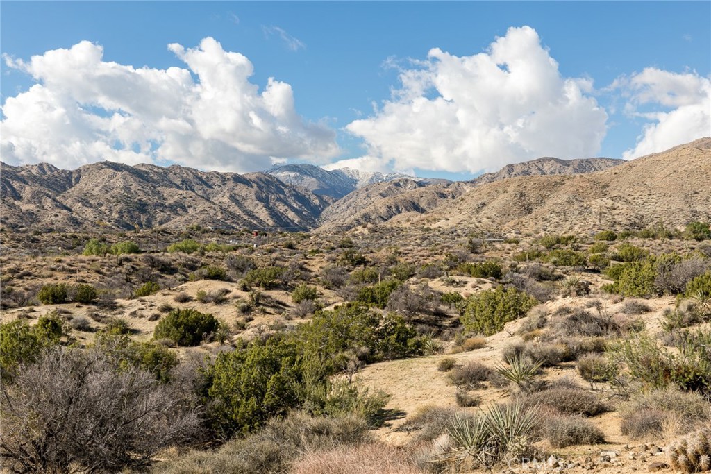 0 Magnolia Drive, Morongo Valley, CA 92256 — photo 1