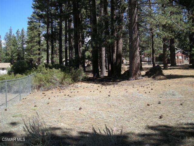 776 Knickerbocker Road, Big Bear, CA 92315 — photo 1
