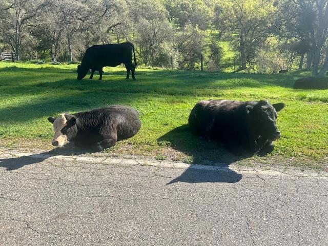 0 Moccasin Ranch Road, La Grange, CA 95329 — photo 1