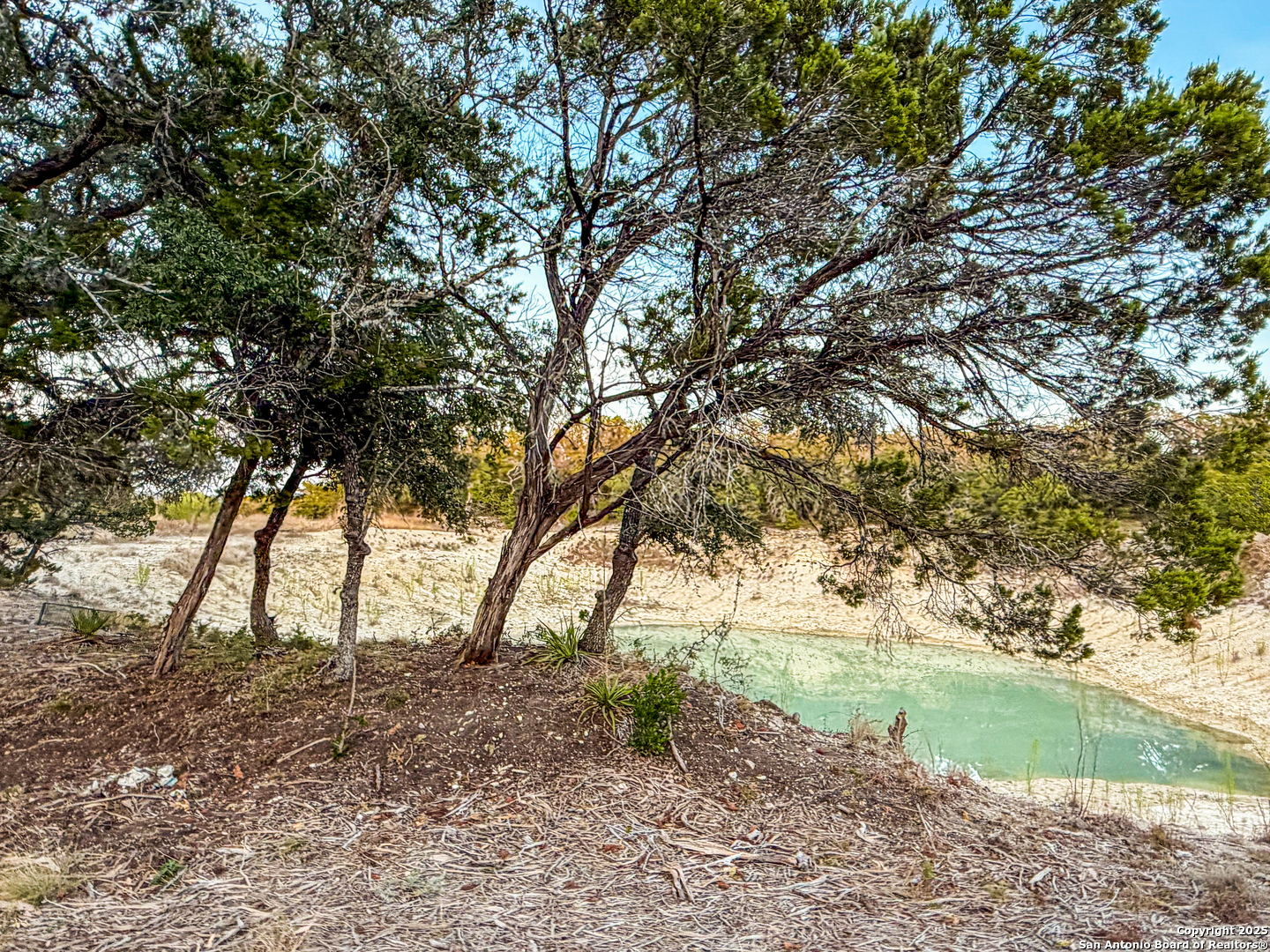 100 ACRES N Cranes Mill Road, , 78133 — photo 1