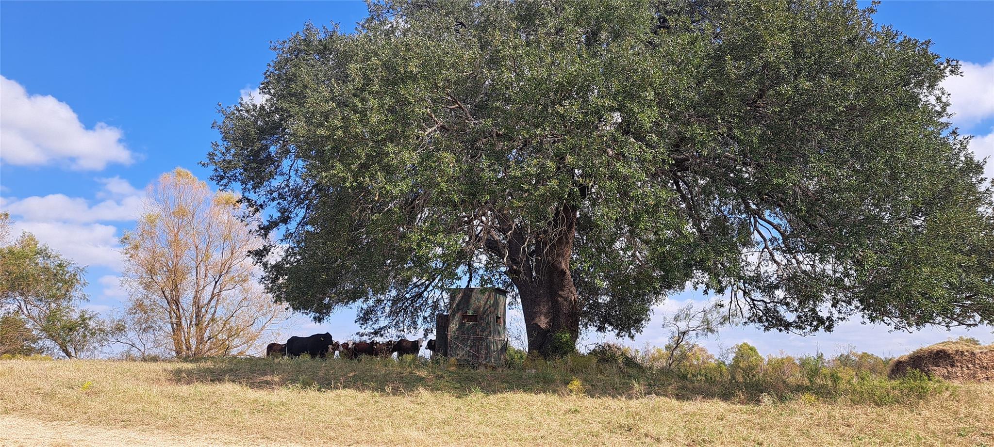 3432 County Road 206, Cameron, TX 76520 — photo 1