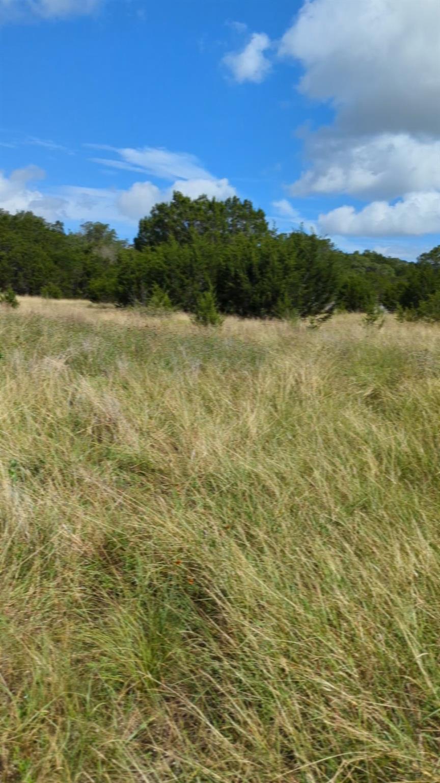 757 Rabbit, Wimberley, TX 78676 — photo 1