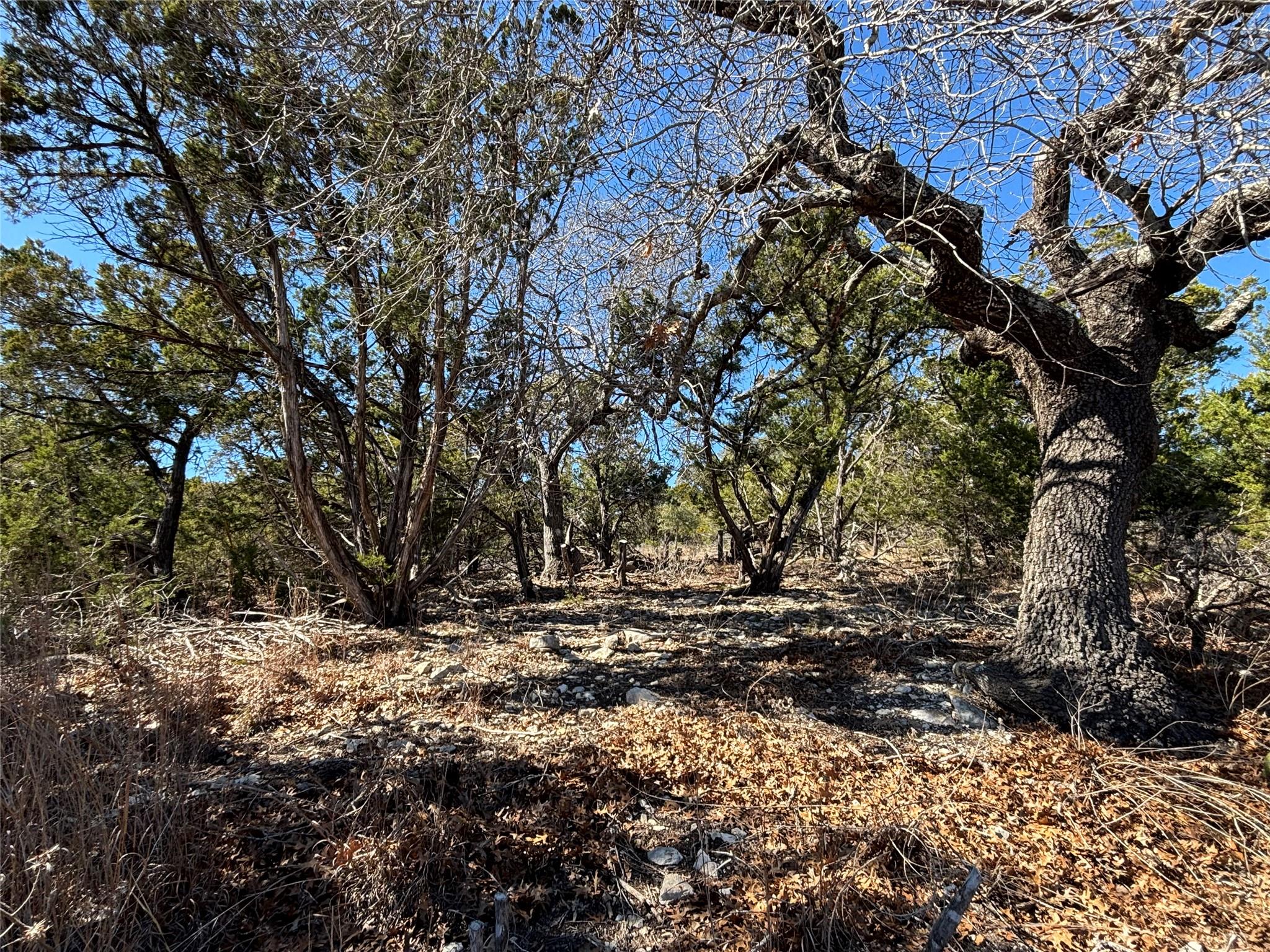 0  Fawn River Dr, Spring Branch, TX 78070 — photo 1