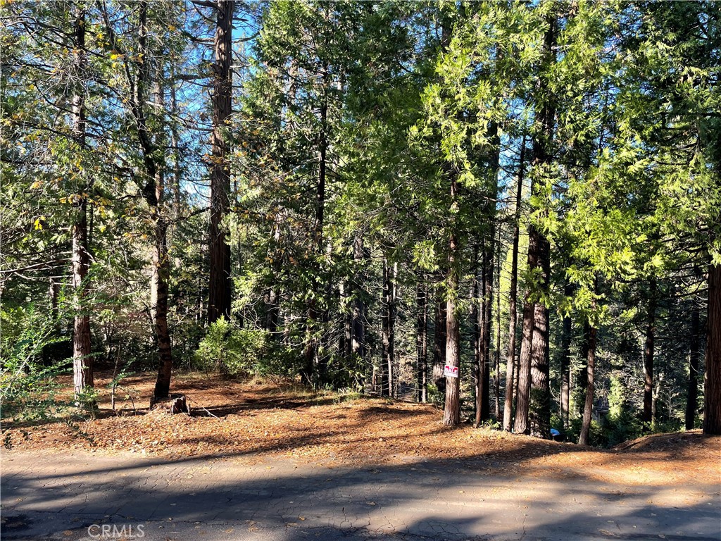 22447 Ponderosa Drive, Twain Harte, CA 95383 — photo 1