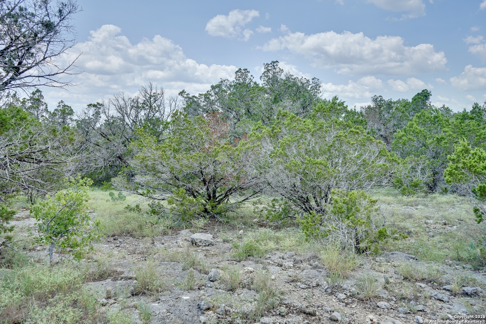 447 Coyote Trail, Spring Branch, TX 78070 — photo 1