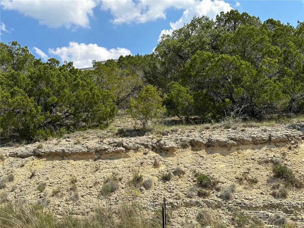 8601  Bronco Ln, Lago Vista, TX 78645 — photo 1