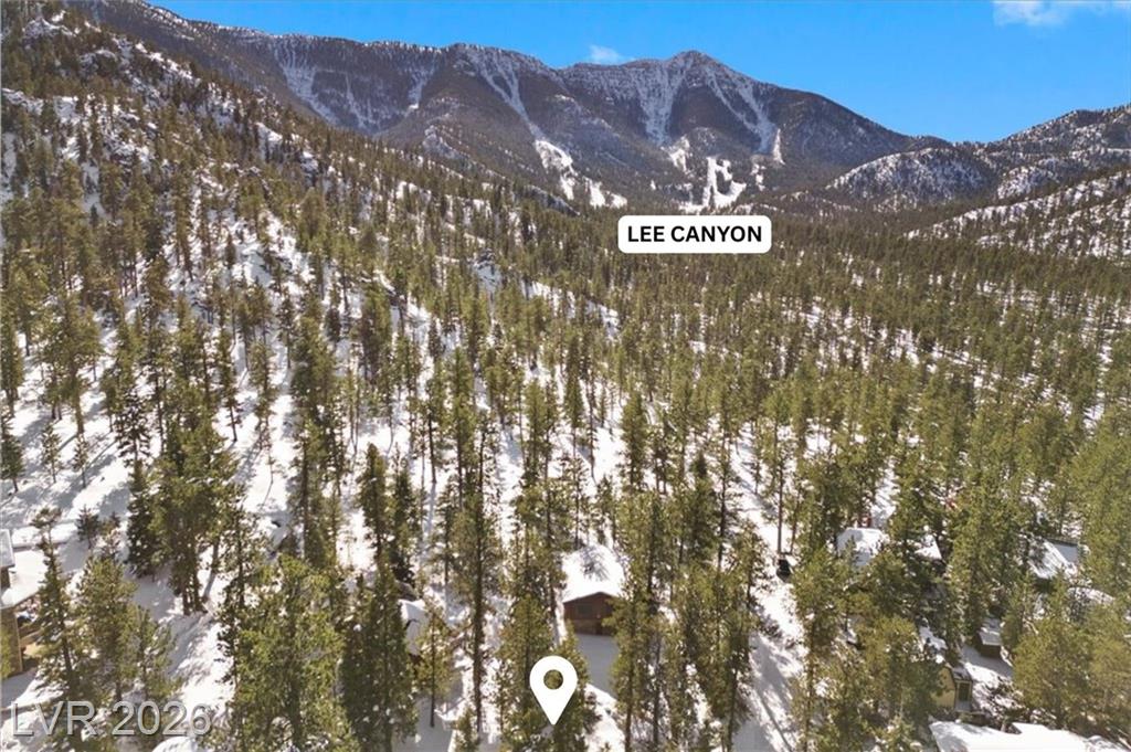 2130 Via Vita Street, Mount Charleston, NV 89124 — photo 1