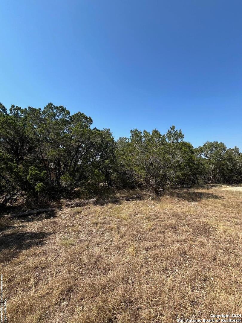 1585 HILLTOP RDG, New Braunfels, TX 78132 — photo 1