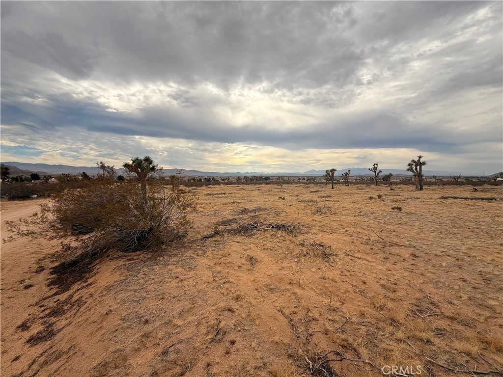 16252 Olema Road, Apple Valley, CA 92307 — photo 1