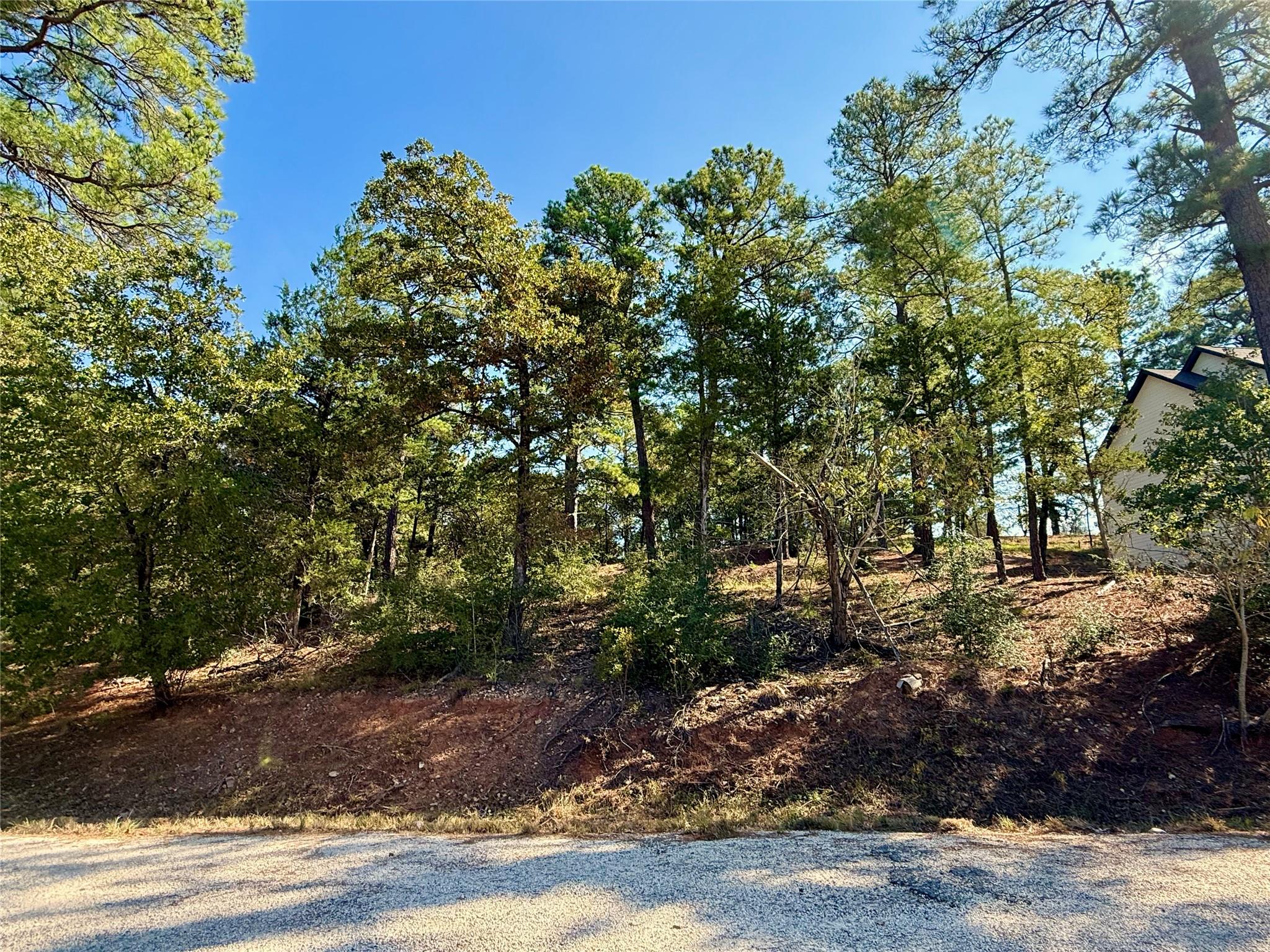 109 and 115 Olomana, Bastrop, TX 78602 — photo 1