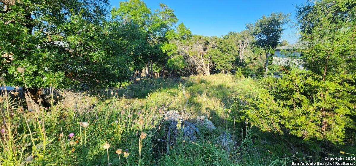 1697 winding creek, ,  78070 — photo 1