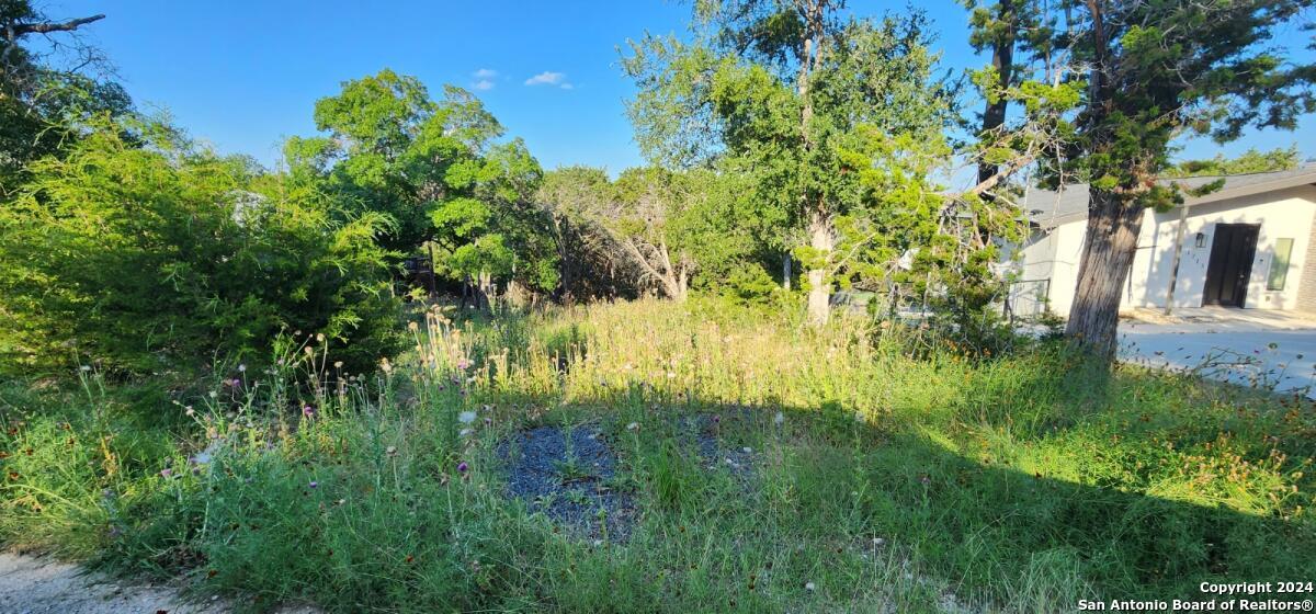 1697 winding creek, Spring Branch, TX 78070 — photo 1