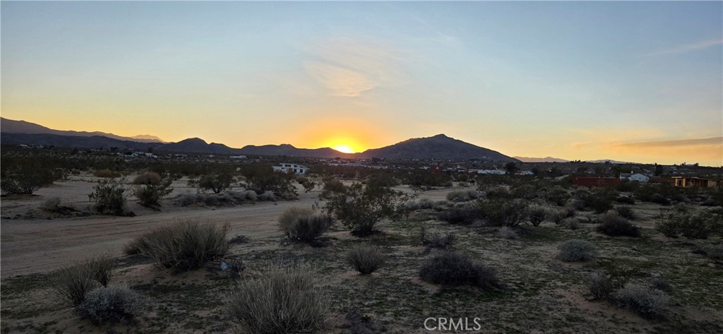 123 Campanula Street, Joshua Tree, CA 92252 — photo 1