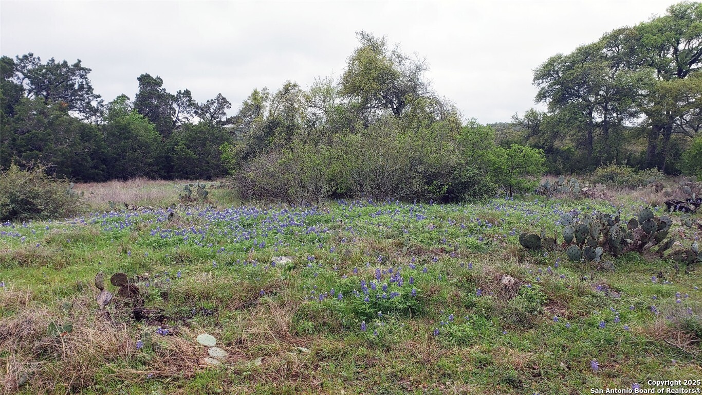 301 rim rock ranch, ,  78666 — photo 1