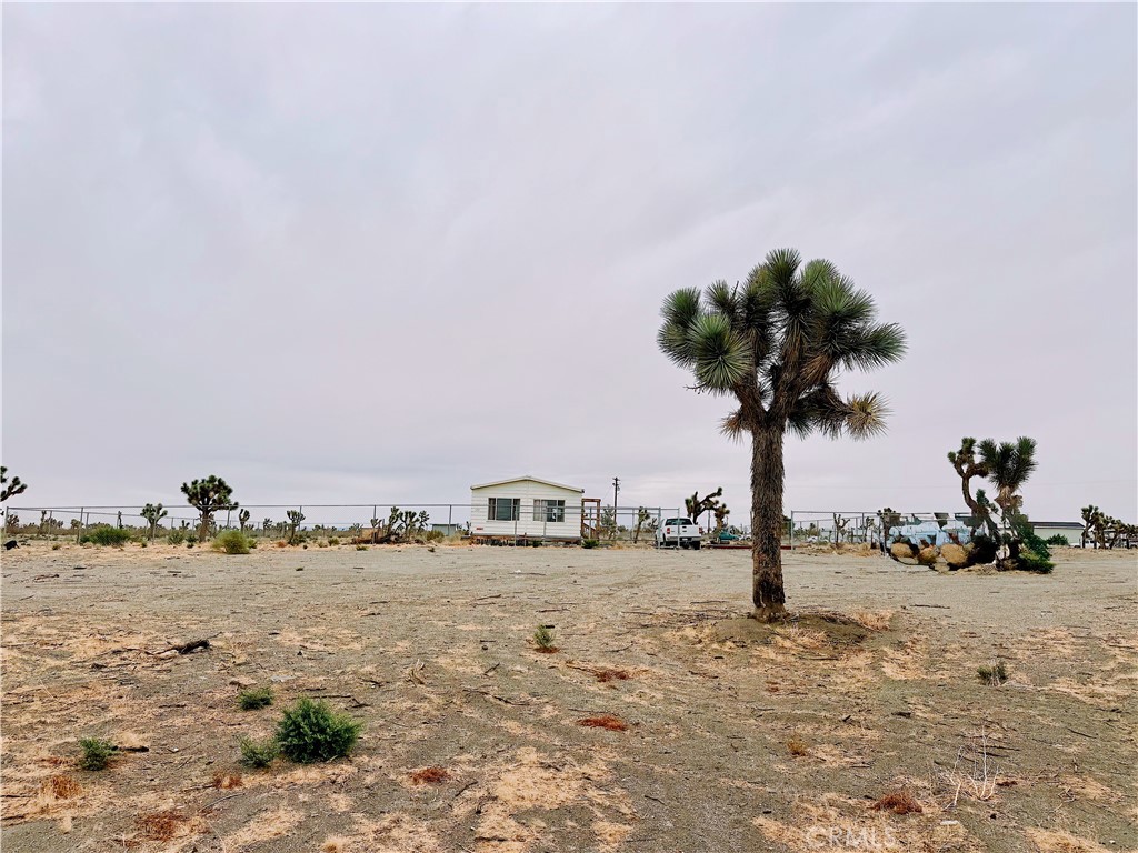 12452 Golden View, Pinon Hills, CA 92372 — photo 1