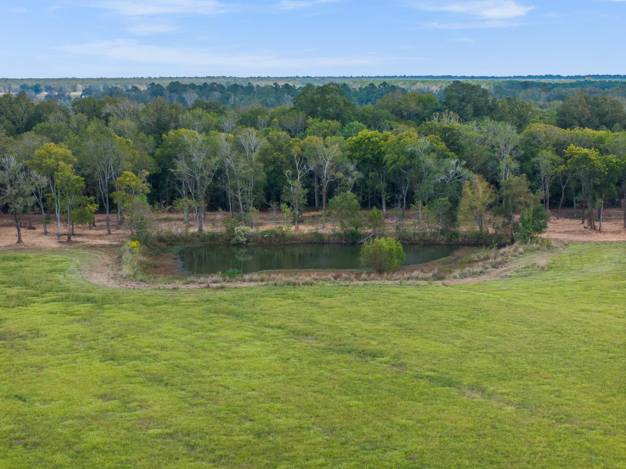9999  FM 834 None, Hardin, TX 77564 — photo 1