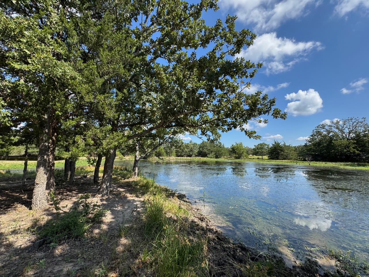 13115 Schoenemann, Carmine, TX 78932 — photo 1