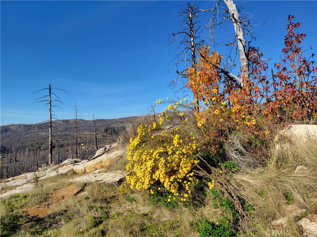 161 Shadow Creek Road, Berry Creek, CA 95916 — photo 1