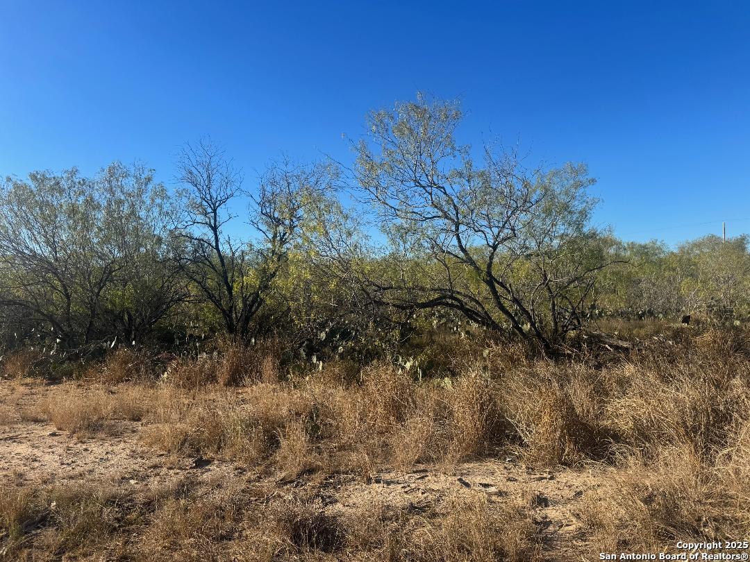 LOTS 2451-2452 Ave. J, Christine, TX 78012 — photo 1