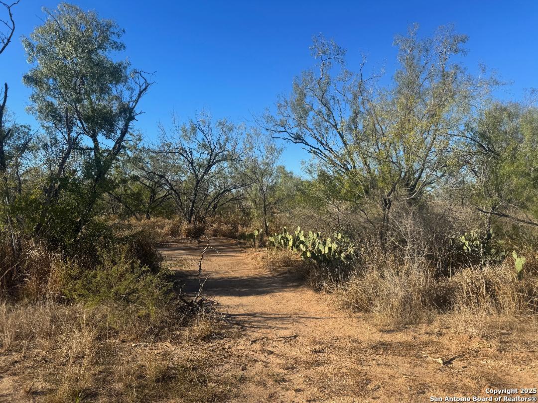 LOTS 2456-2458 Ave. J, Christine, TX 78012 — photo 1