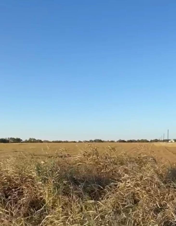 TBD  County Road 133 Ctr  #Lot 6, Ben Arnold, TX 76519 — photo 1