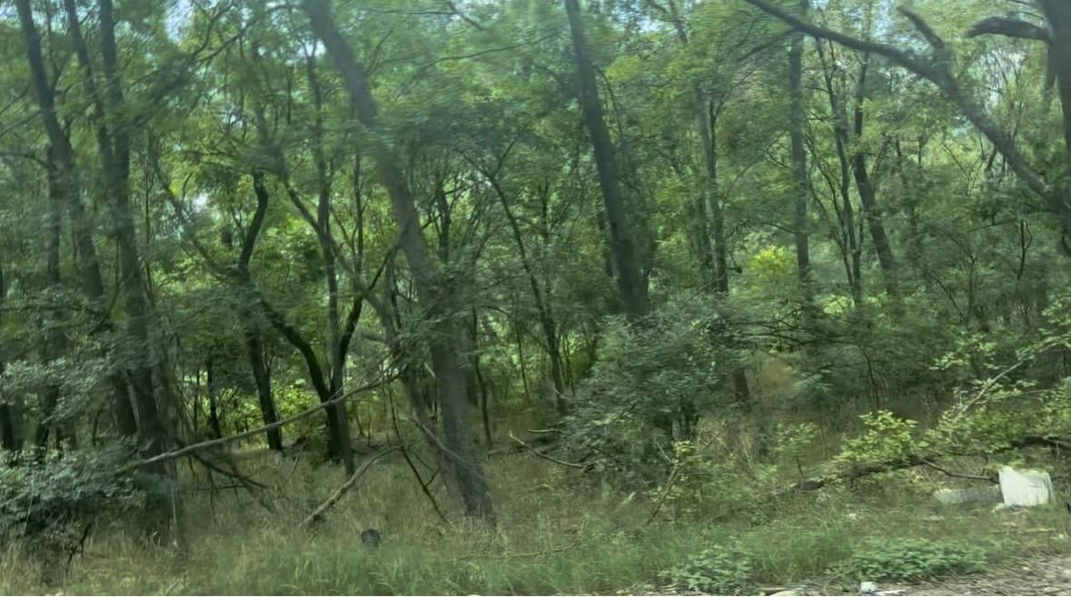 4102 Lower Dr, Austin, TX 78725 — photo 1