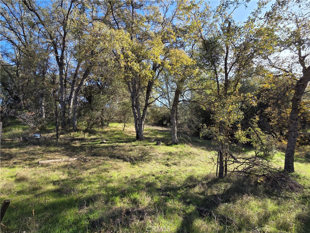 0 12.19 AC Road 222, North Fork, CA 93643 — photo 1