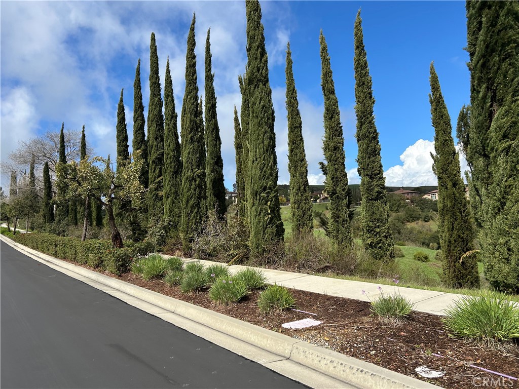 16567 Vellano Club Dr, Chino Hills, CA 91709 — photo 1