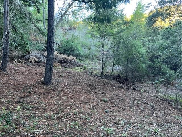 0 Redwood Retreat Road, Gilroy, CA 95020 — photo 1