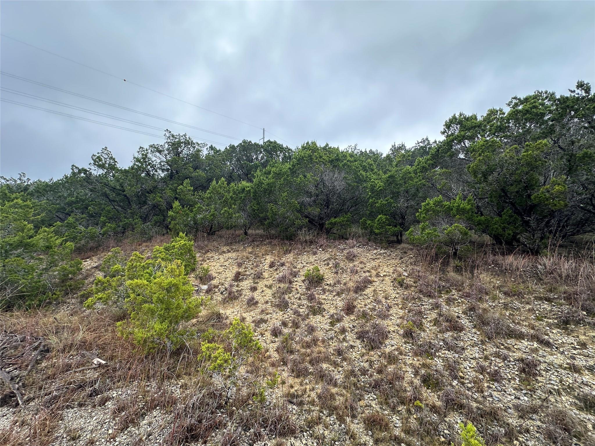 20600  Trinity Cv, Lago Vista, TX 78645 — photo 1
